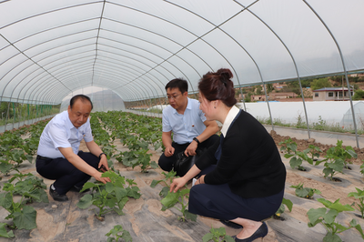 黨建引領(lǐng)促發(fā)展 技術(shù)扶貧暖人心——蘭州高新區(qū)“兩新”組織黨委攜手愛心企業(yè)開展“支部結(jié)對(duì)共建、助力脫貧攻堅(jiān)”主題黨日活動(dòng)側(cè)記